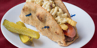 Nick's Picks: The Garbage Dog