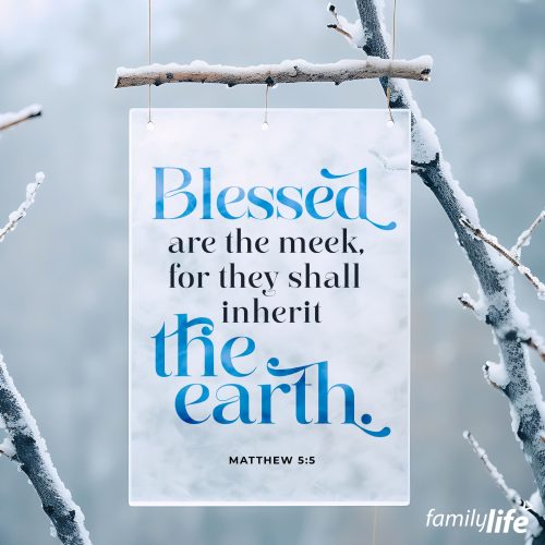 Tuesday, February 20, 2024
Matthew 5:5
Blessed are the meek, for they shall inherit the earth.Meekness isn’t weakness, not according to Christ. Moses was meek and lowly, having run away from his birthplace of Egypt, and refusing to go back out of fear. He wasn’t a fearless leader or a charismatic public speaker, but in obeying God’s calling, he became the voice of the children of Israel. God loves using the small to accomplish what the “strong” never could. Remember that the twelve disciples, heroes of the faith, were once but fishermen and tax collectors.