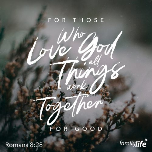 Wednesday, February 7, 2024
Romans 8:28
And we know that for those who love God all things work together for good, for those who are called according to his purpose.The world is full of mistakes, tragedies, and grief, but it is not without hope. All throughout the Bible you can see God taking terrible situations and bringing abundant good out of them, so that nothing goes to waste. A lineage marred by betrayals, scandals, murders and sin was the very line that Jesus came from. The crucifixion of the perfect Son of God was the most terrible event in human history, and yet three days later, it became the best thing that ever happened to us. The Lord can work all things together for good, even the things that you wish never happened. Put your faith and your life into His hands, and watch Him grow gardens from your battlefields.