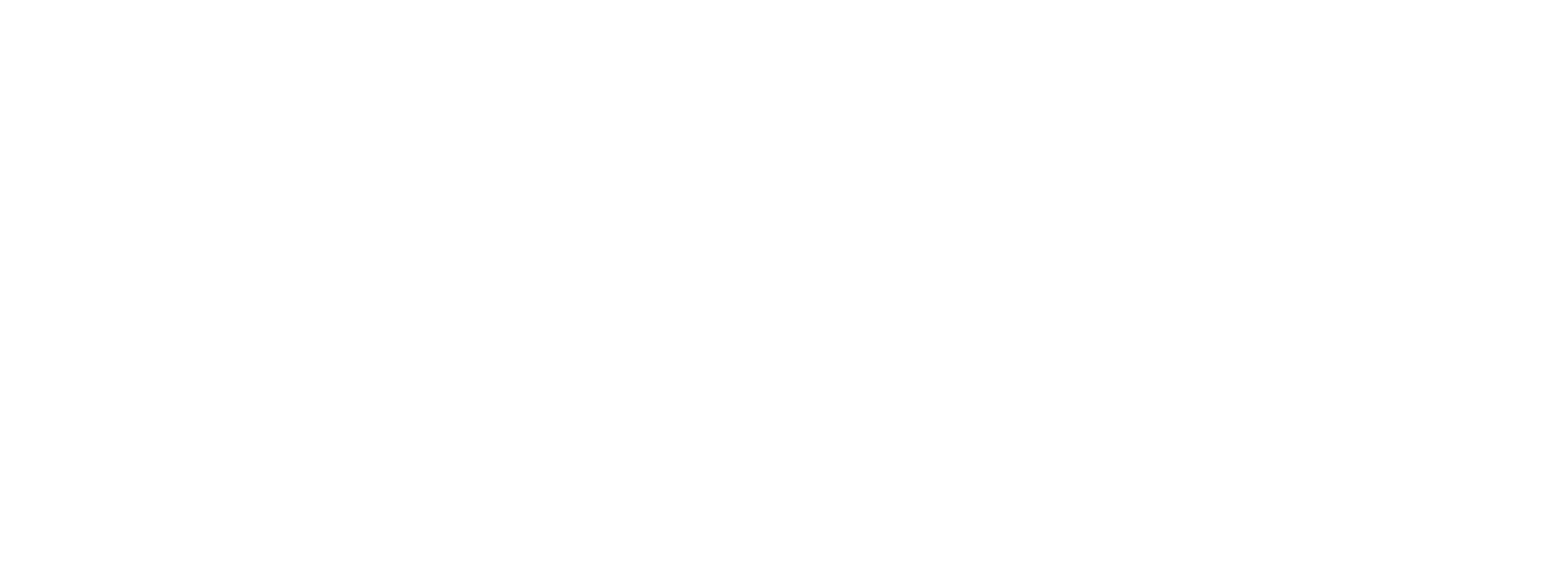 FLN Familylife White Logo